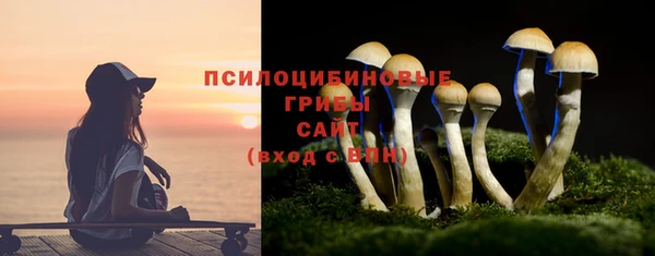 мдпв Бугульма