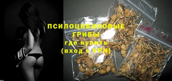 мдпв Бугульма